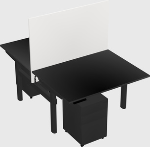 Shared electric desk