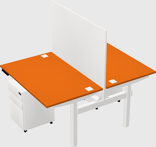 Shared electric desk