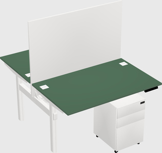 Shared electric desk