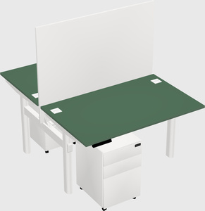 Shared electric desk