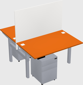 Shared electric desk