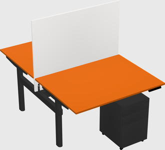 Shared electric desk