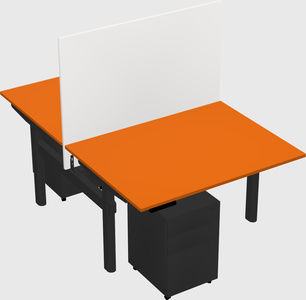 Shared electric desk