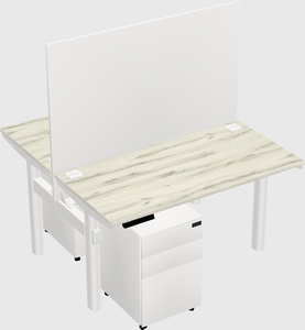Shared electric desk