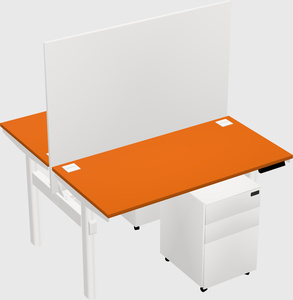Shared electric desk
