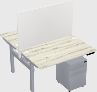 Shared electric desk