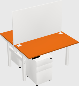 Shared electric desk