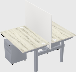 Shared electric desk