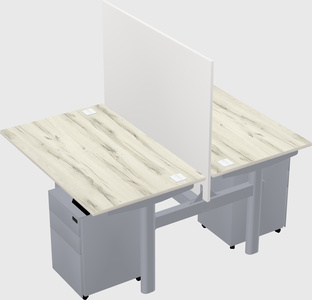 Shared electric desk