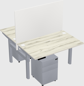 Shared electric desk