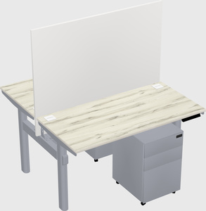 Shared electric desk