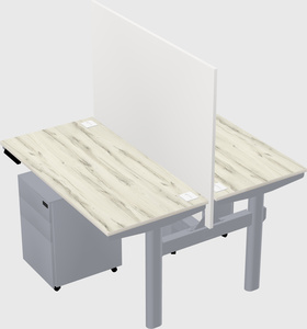 Shared electric desk