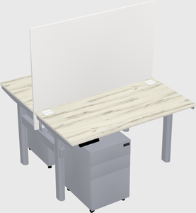Shared electric desk