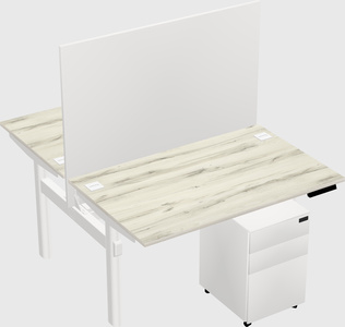 Shared electric desk