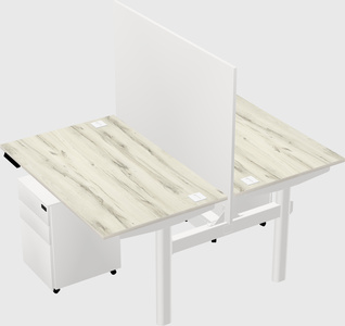 Shared electric desk