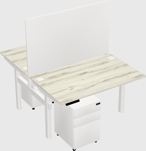 Shared electric desk