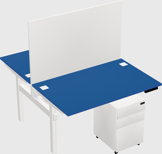 Shared electric desk