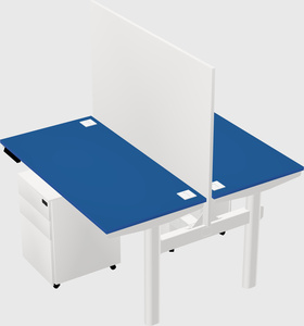 Shared electric desk