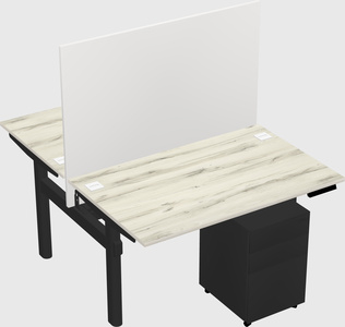 Shared electric desk
