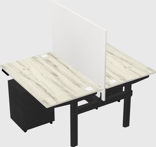 Shared electric desk