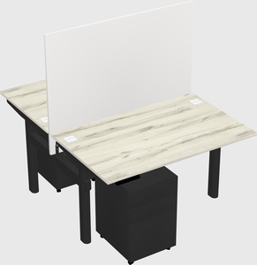 Shared electric desk
