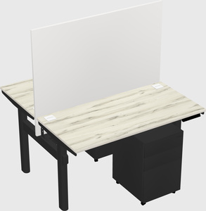 Shared electric desk