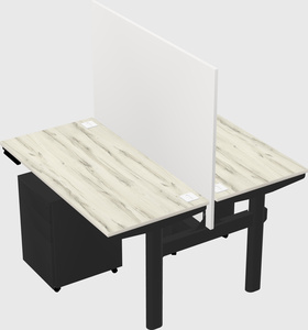 Shared electric desk