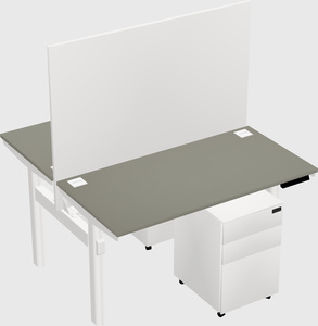 Shared electric desk