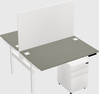 Shared electric desk
