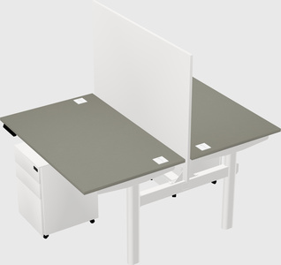Shared electric desk
