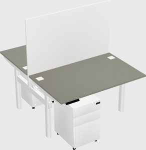 Shared electric desk