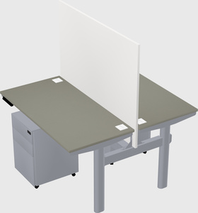 Shared electric desk