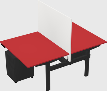 Shared electric desk