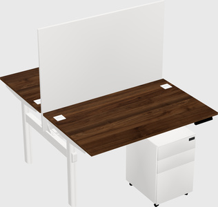 Shared electric desk