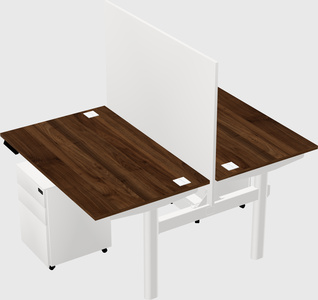 Shared electric desk