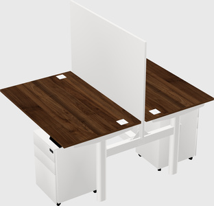 Shared electric desk