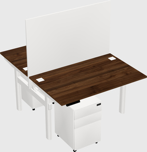 Shared electric desk