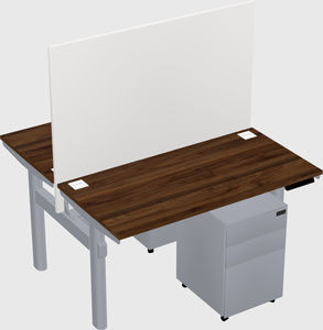 Shared electric desk