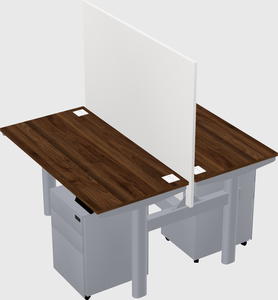 Shared electric desk