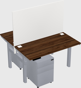 Shared electric desk