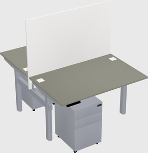 Shared electric desk