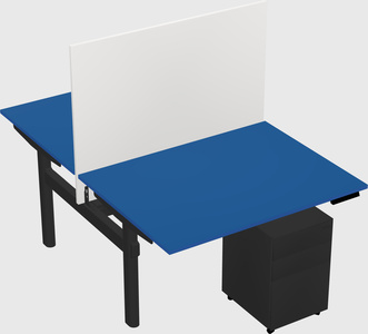 Shared electric desk