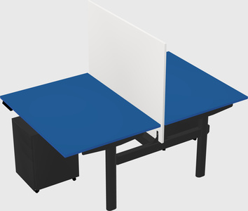 Shared electric desk