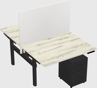 Shared electric desk