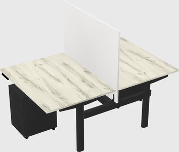 Shared electric desk