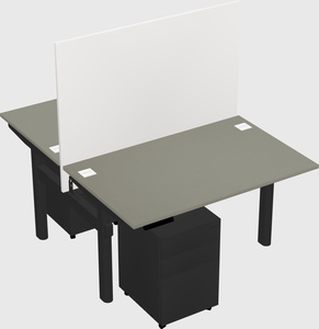 Shared electric desk