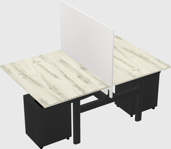 Shared electric desk