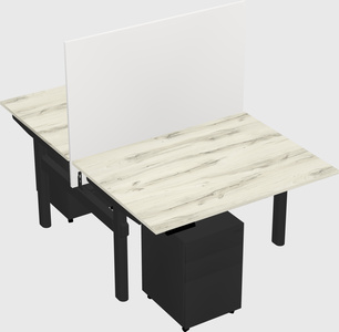 Shared electric desk