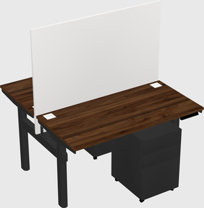 Shared electric desk