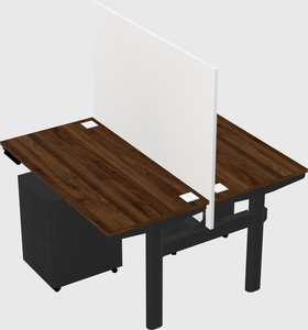 Shared electric desk